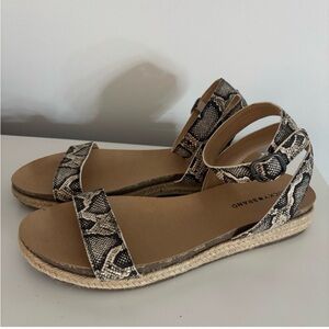 💜 Lucky Brand Women's Black and Tan Snake Print Sandals